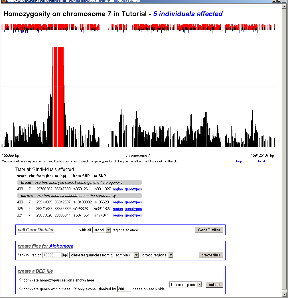 chromosomal homozygosity