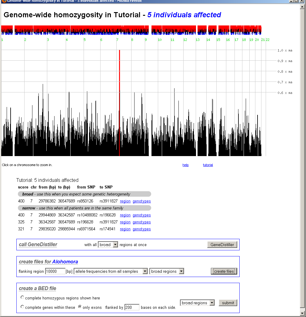 genome-wide homozygosity